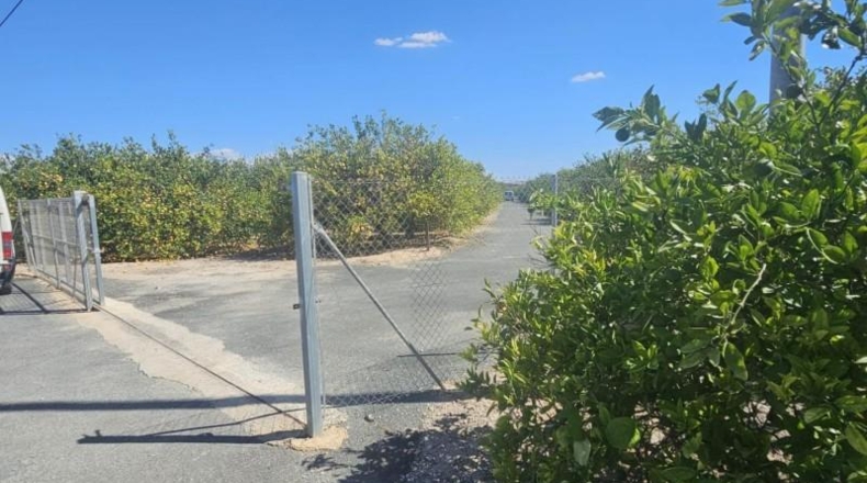 Alicante - Los Montesinos - 10000m2