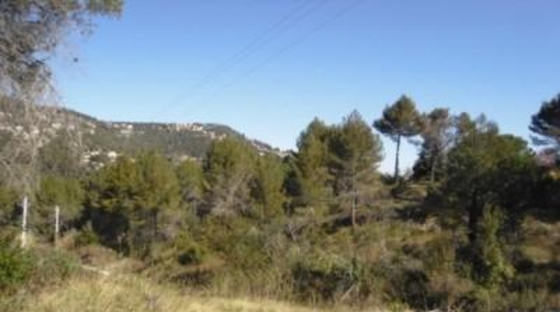 Barcelona - Corbera de Llobregat - 3712m2