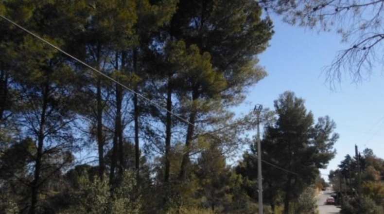 Barcelona - Corbera de Llobregat - 3712m2