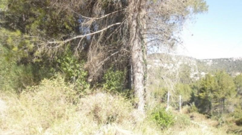Barcelona - Corbera de Llobregat - 3712m2