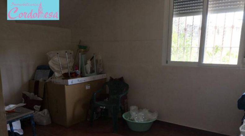 Córdoba - Córdoba - 1031m2