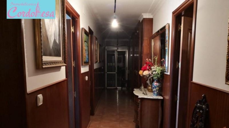 Córdoba - Córdoba - 1031m2