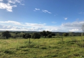 Земля на продажу у города Plasencia Фото