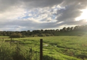 Земля на продажу у города Plasencia Фото