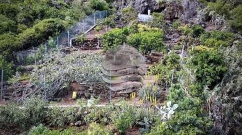 Santa Cruz de Tenerife - Buenavista del Norte - 29520m2