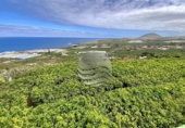 Non-developable land for sale on España, Buenavista del Norte, ref: TR121037 photo