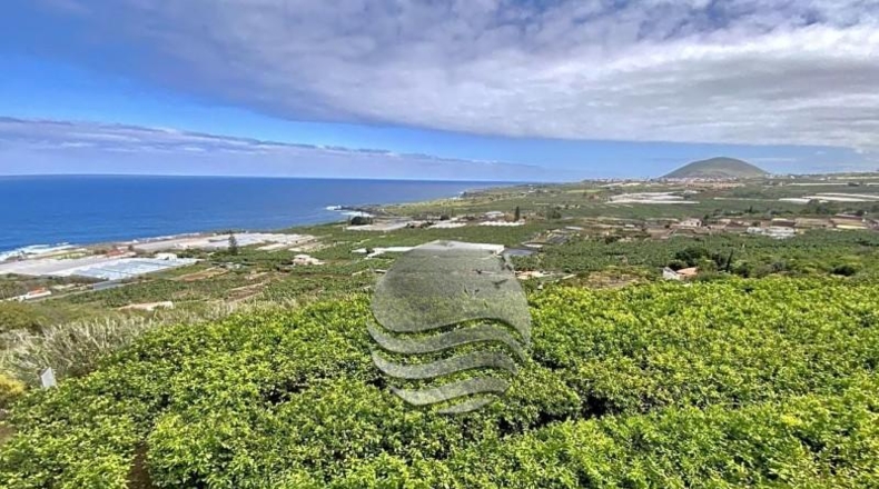 Santa Cruz de Tenerife - Buenavista del Norte - 29520m2