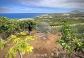 Non-developable land for sale on España, Buenavista del Norte, ref: TR121037 photo