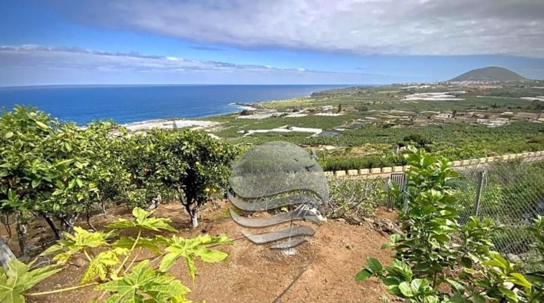 Santa Cruz de Tenerife - Buenavista del Norte - 29520m2