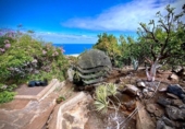 Non-developable land for sale on España, Buenavista del Norte, ref: TR121037 photo