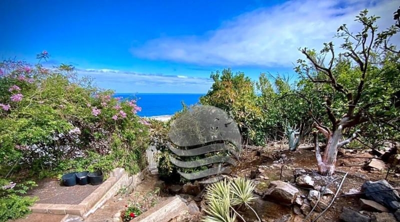 Santa Cruz de Tenerife - Buenavista del Norte - 29520m2
