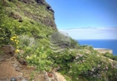 Non-developable land for sale on España, Buenavista del Norte, ref: TR121037 photo