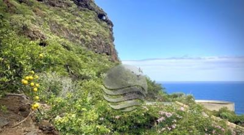 Santa Cruz de Tenerife - Buenavista del Norte - 29520m2