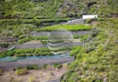 Non-developable land for sale on España, Buenavista del Norte, ref: TR121037 photo