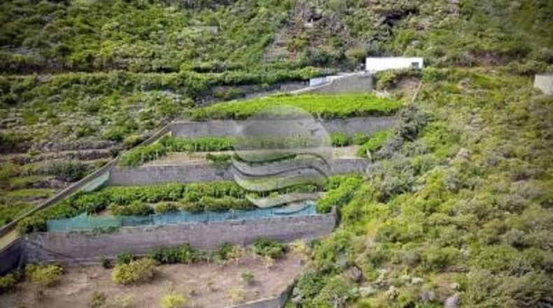 Santa Cruz de Tenerife - Buenavista del Norte - 29520m2