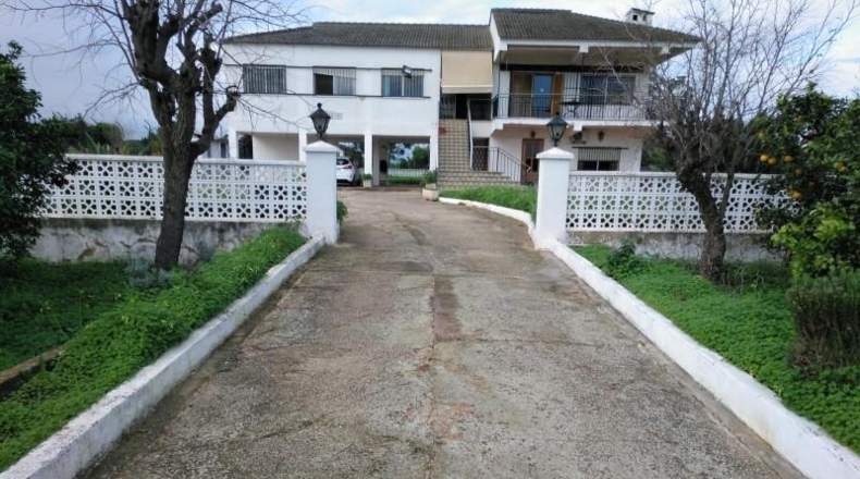 Valencia - Alcira - 5830m2