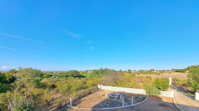 València - Alcira - 5475m2