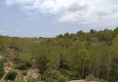 Земельный участок на продажу в городе l'Ametlla de Mar Фото