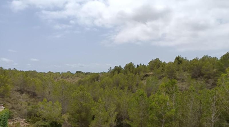 Tarragona - l'Ametlla de Mar - 2500m2