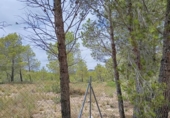 Земельный участок на продажу в городе l'Ametlla de Mar Фото