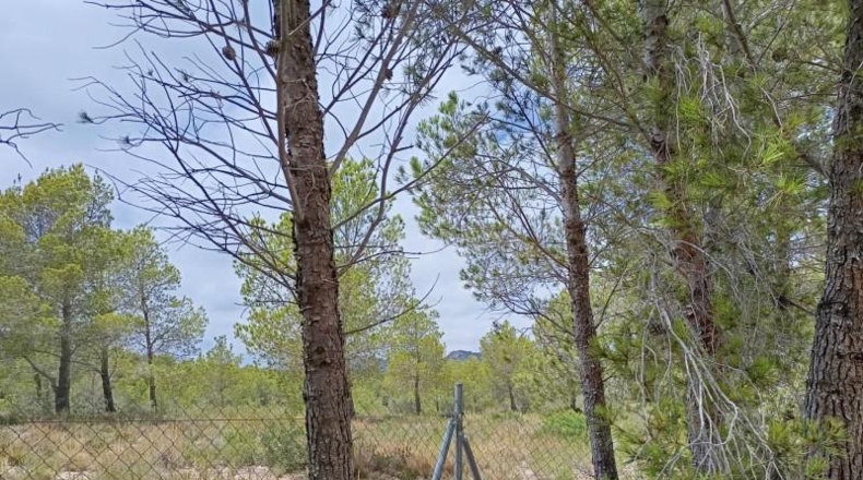 Tarragona - l'Ametlla de Mar - 2500m2