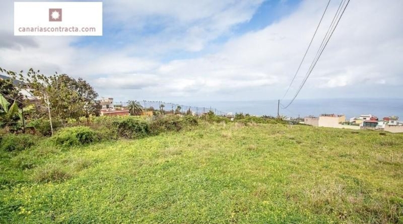 Santa Cruz de Tenerife - La Cruz Santa - 12799m2