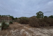 Non-developable land for sale on España, Águilas, ref: TR127279 photo