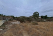 Non-developable land for sale on España, Águilas, ref: TR127279 photo