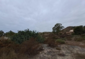 Non-developable land for sale on España, Águilas, ref: TR127279 photo