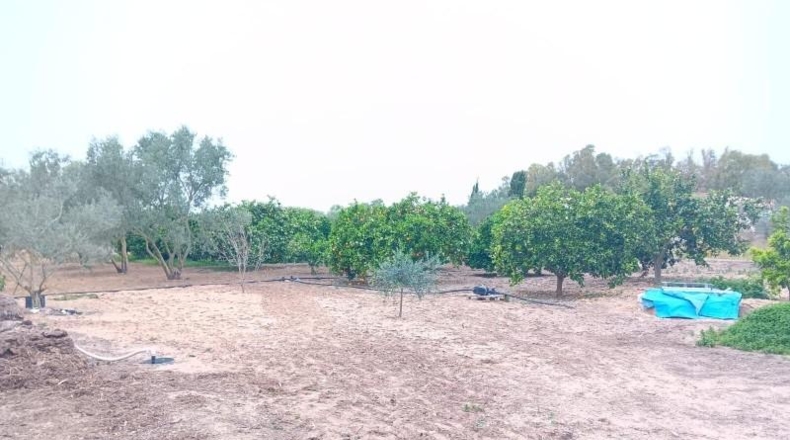 Cádiz - El Puerto de Santa María - 5000m2