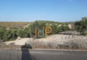 Finca rústica en venta en la España, Yebra de Basa, ref: TR375803 foto