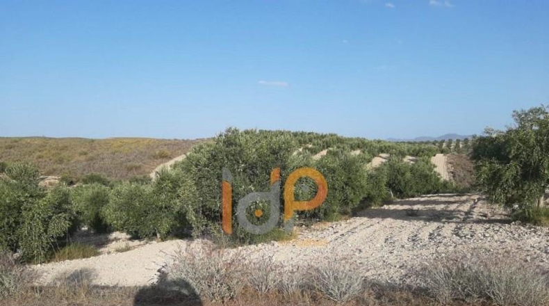 Huesca - Yebra de Basa - 100000m2