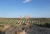 Finca rústica en venta en la España, Yebra de Basa, ref: TR375803 foto