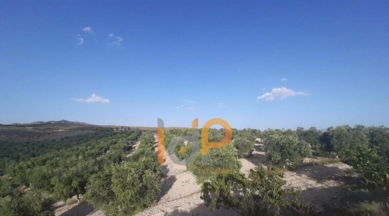 Huesca - Yebra de Basa - 100000m2