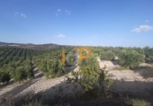 Finca rústica en venta en la España, Yebra de Basa, ref: TR375803 foto