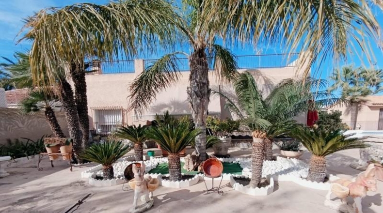 Alicante - Elche - 2800m2
