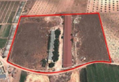 Terreny no urbanitzable en venda a la España, Herencia, ref.: TR287569 foto