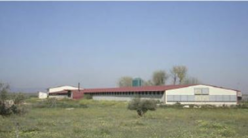 Сьюдад-Реаль - Herencia - 27410m2