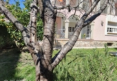 Отдельно стоящий дом с участком на продажу в городе el Vendrell Фото