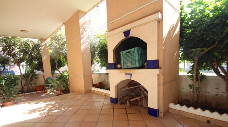 Alicante - Almoradí - 460m2