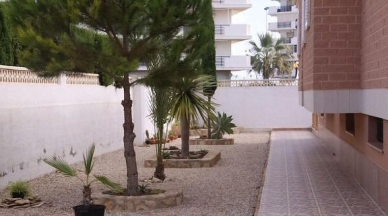 Murcia - San Javier - 930m2