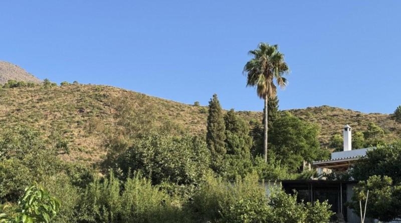 Malaga - Estepona - 1734m2
