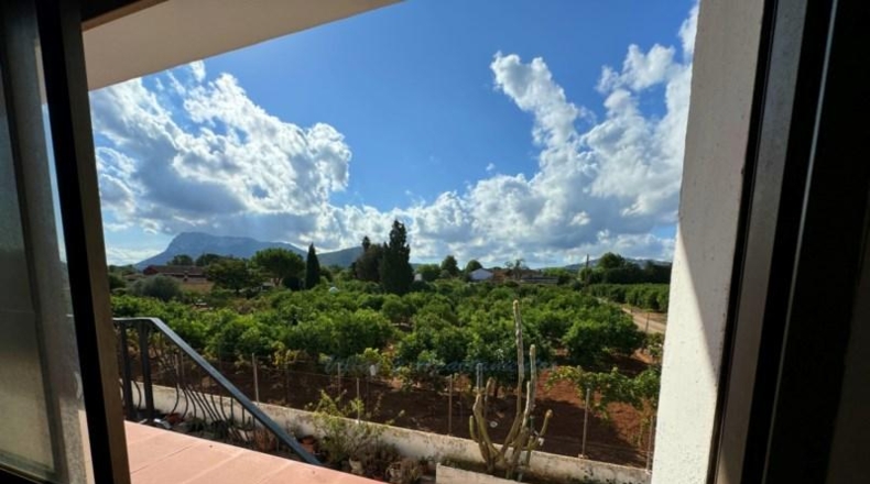 Аликанте - Denia - 800m2