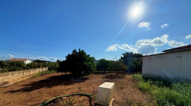 Аликанте - Denia - 800m2