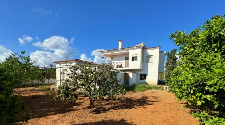 Аликанте - Denia - 800m2