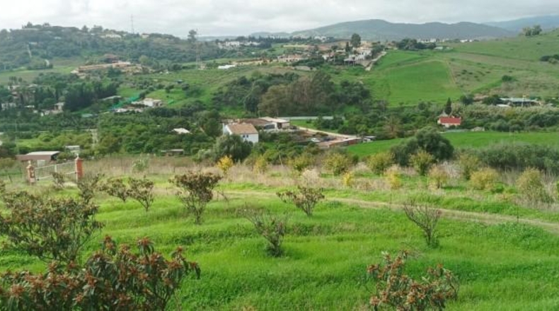 Málaga - Estepona - 17000m2