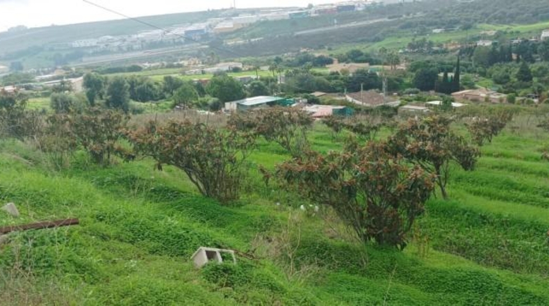 Málaga - Estepona - 17000m2