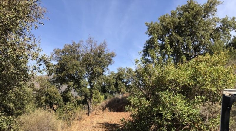 Málaga - Estepona - 17000m2