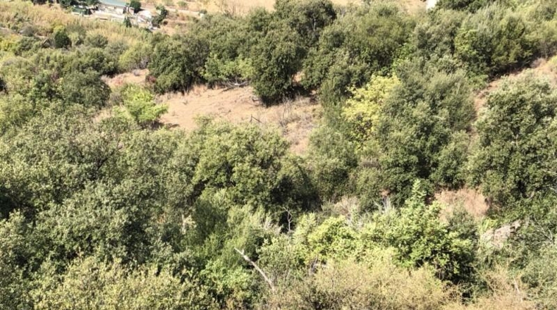 Málaga - Estepona - 17000m2