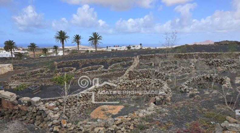 Las Palmas - Teguise - 5700m2